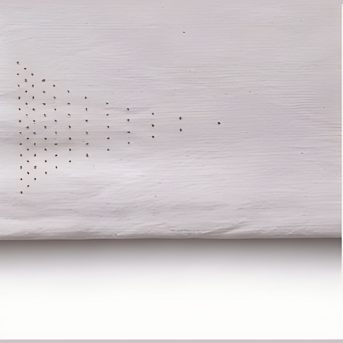 Regalia Ivory Kala Cotton Table Cloth with Woven Motifs by Kazuri, photo 3 of 4
